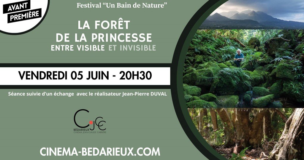 actualité AVP - LA FORET DE LA PRINCESSE _ 0506