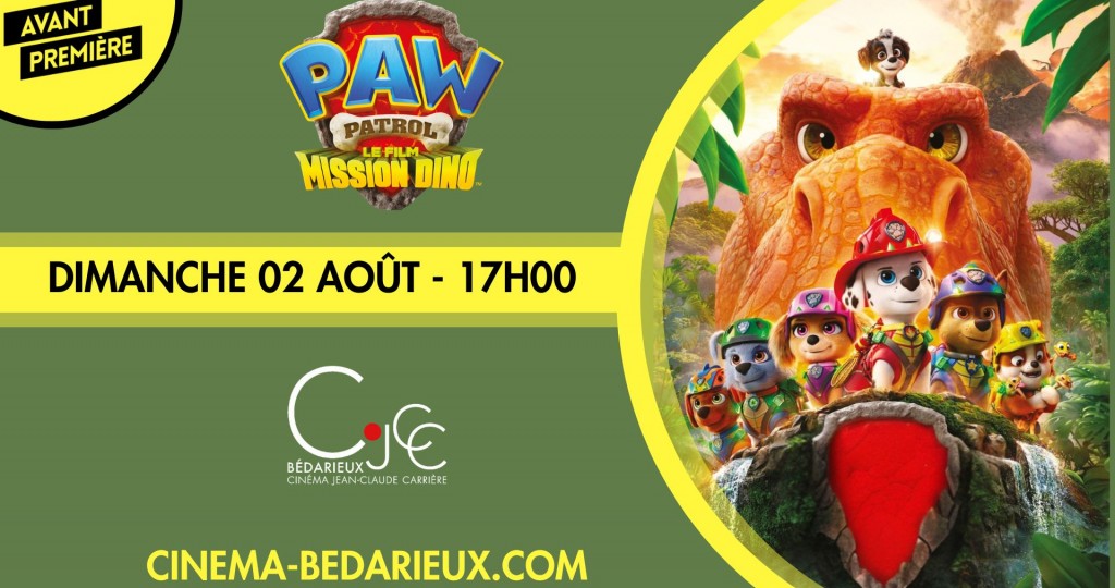 actualité AVP - PAT PATROUILLE - 0208
