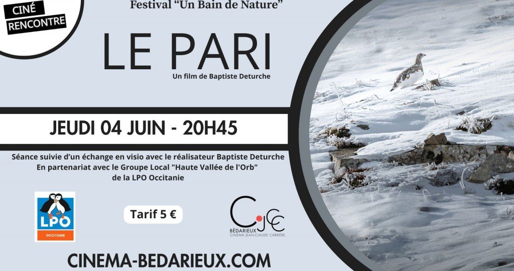 actualité LE PARI - 0406