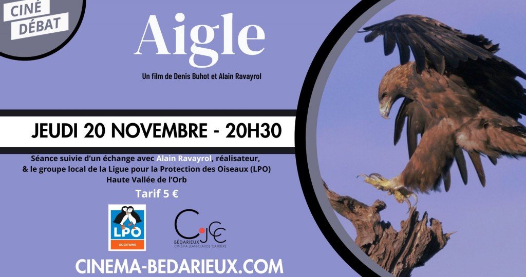 actualité CD_Aigle _2011