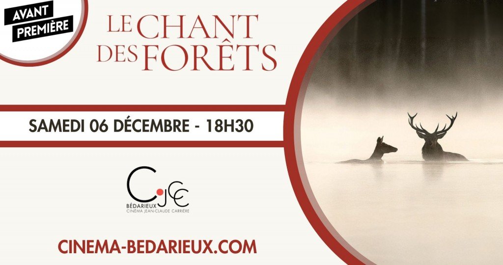 actualité AVP - Le Chant des Forêts