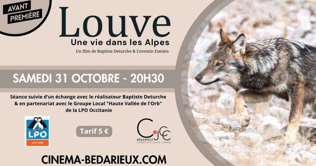 actualité AVP - LOUVE - 3110