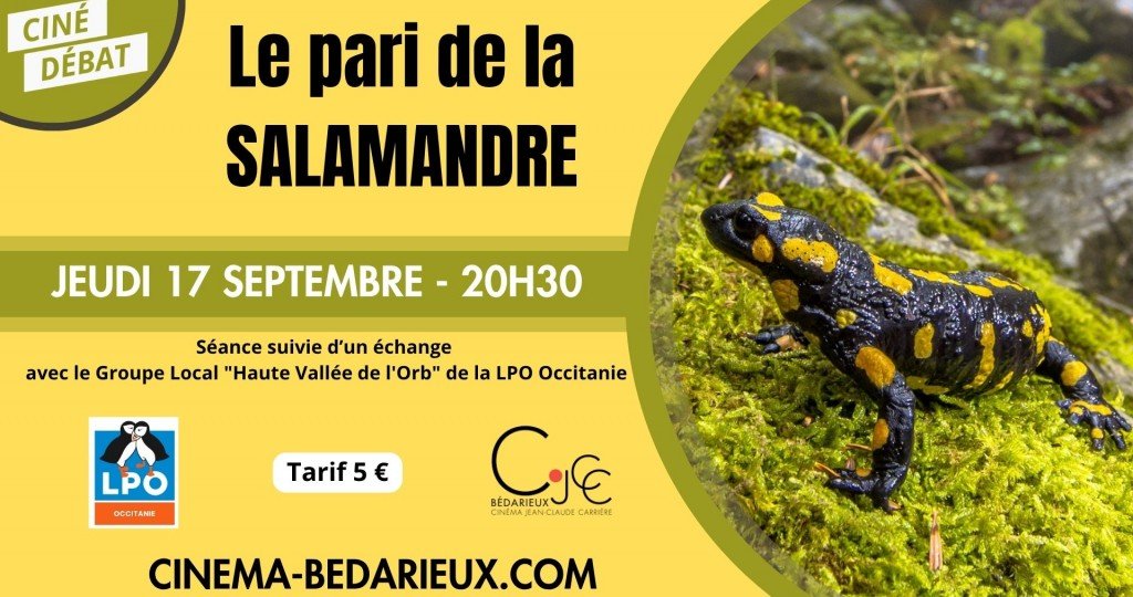 actualité LE PARI DE LA SALAMANDRE - 1709