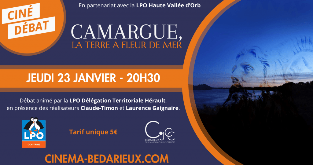 actualité CD-Camargue-2301