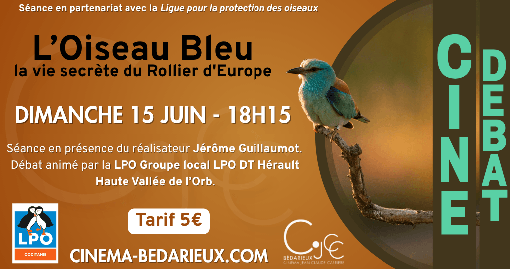 actualité CD-OiseauBleu-1506